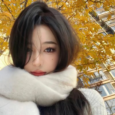 哈吉布基的森林冒险